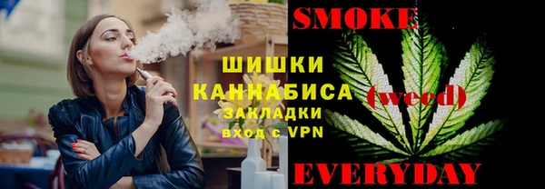 apvp Бородино