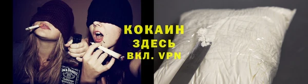apvp Бородино