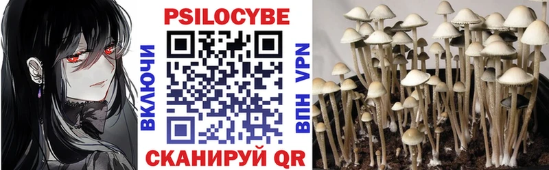 Псилоцибиновые грибы Magic Shrooms Кумертау